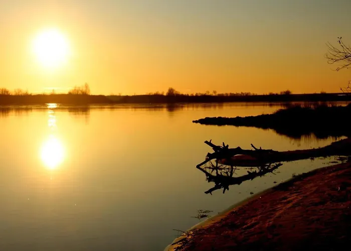 Premium Zamkowa A14 * Tczew